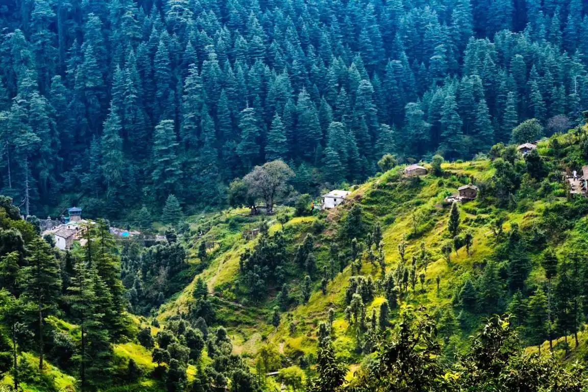 Ranikhet